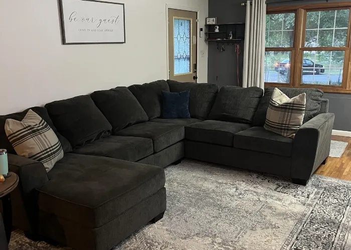 Black Sofa Living Room Ideas