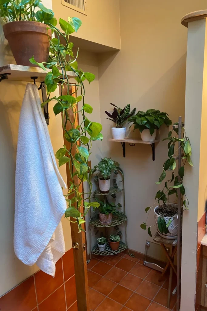 Incorporating Plants