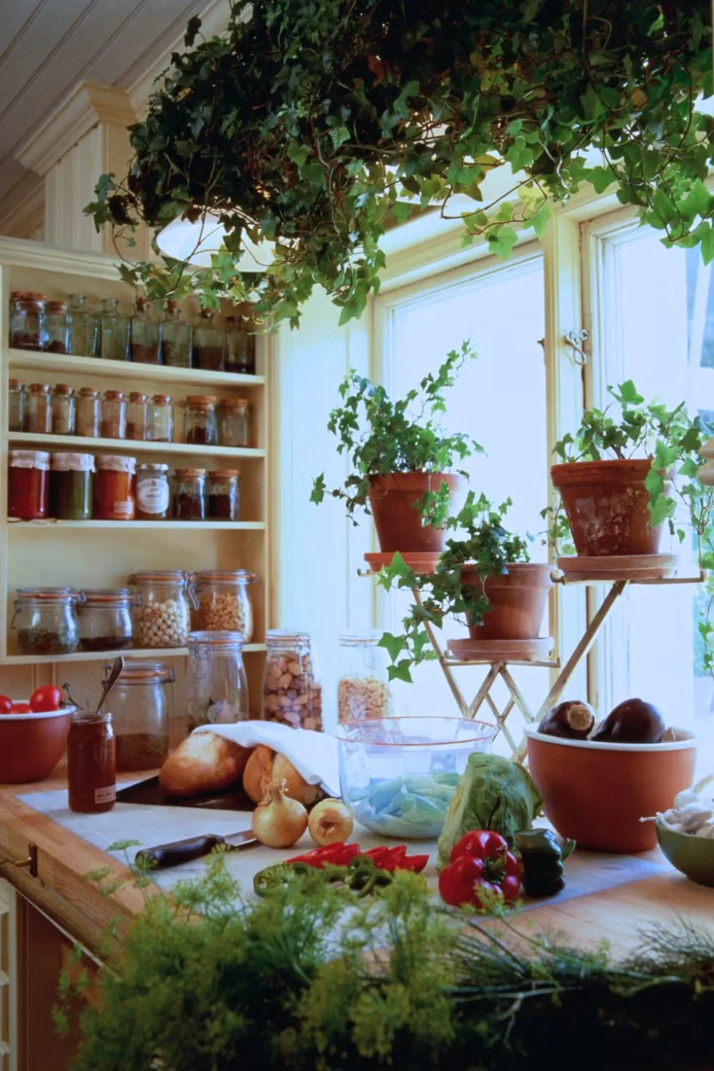 Greenery and Plants