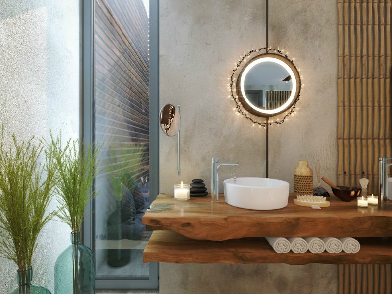 Bamboo for Zen Feel for French Bathroom Plants
